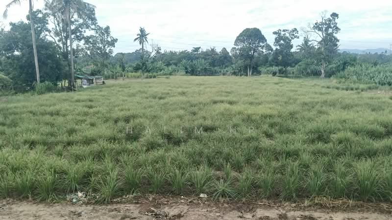 Agricultural Land for Sale in Lenggeng (Negeri Sembilan) - Halim HP - Exterior - PropertyGuru.com.my