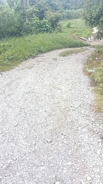 Agricultural Land for Sale in Lenggeng (Negeri Sembilan) - Halim HP - Exterior - PropertyGuru.com.my