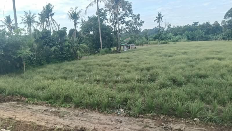 Agricultural Land for Sale in Lenggeng (Negeri Sembilan) - Halim HP - Exterior - PropertyGuru.com.my