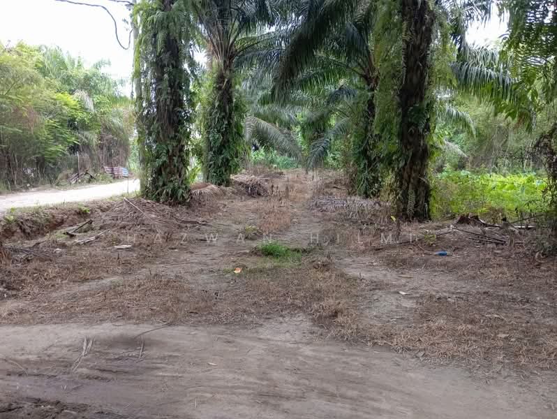 Tanah Pertanian untuk Dijual di Batu Pahat (Johor) - Hazwan Hilmi - Exterior - PropertyGuru.com.my