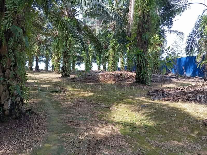 Tanah Pertanian untuk Dijual di Batu Pahat (Johor) - Hazwan Hilmi - Exterior - PropertyGuru.com.my