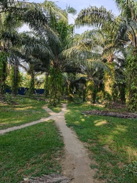 Tanah Pertanian untuk Dijual di Batu Pahat (Johor) - Hazwan Hilmi - Garden - PropertyGuru.com.my