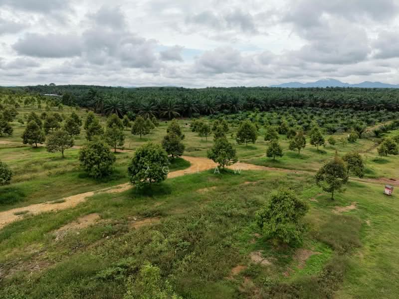 Tanah Pertanian untuk Dijual di Yong Peng (Johor) - ZG Law - PropertyGuru.com.my