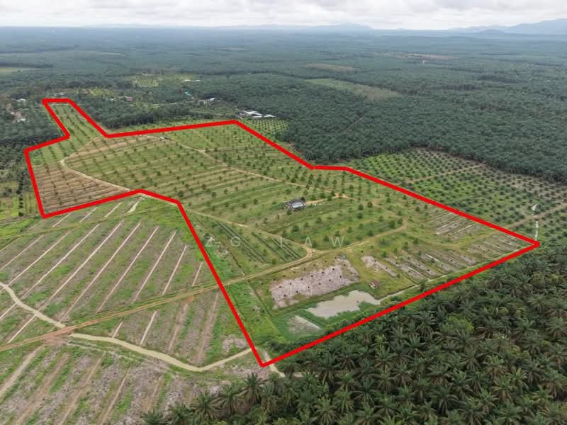 Tanah Pertanian untuk Dijual di Yong Peng (Johor) - ZG Law - PropertyGuru.com.my