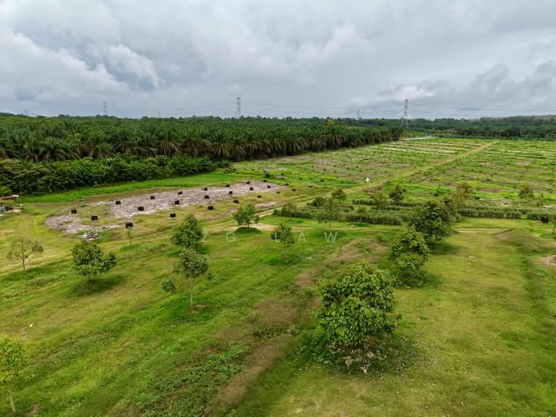 Tanah Pertanian untuk Dijual di Yong Peng (Johor) - ZG Law - PropertyGuru.com.my