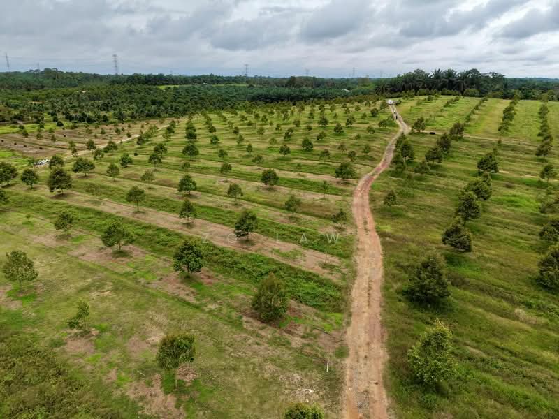 Tanah Pertanian untuk Dijual di Yong Peng (Johor) - ZG Law - PropertyGuru.com.my