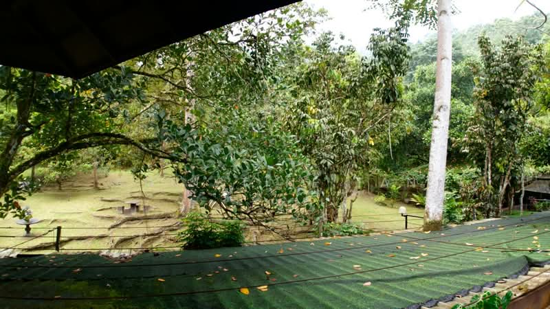 Tanah Pertanian untuk Dijual di Karak (Pahang) - Christine Tan - Exterior - PropertyGuru.com.my