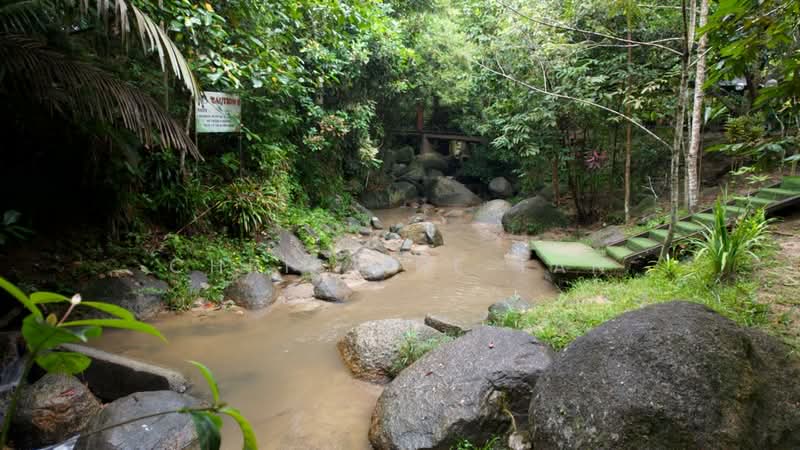 Tanah Pertanian untuk Dijual di Karak (Pahang) - Christine Tan - Exterior - PropertyGuru.com.my