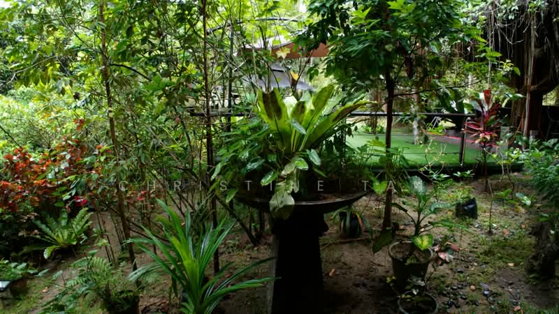 Tanah Pertanian untuk Dijual di Karak (Pahang) - Christine Tan - Garden - PropertyGuru.com.my