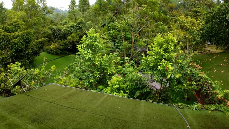 Tanah Pertanian untuk Dijual di Karak (Pahang) - Christine Tan - Exterior - PropertyGuru.com.my
