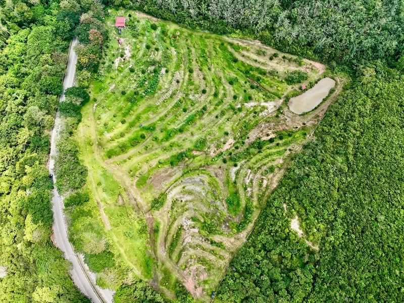 Tanah Pertanian untuk Dijual di Ayer Keroh (Melaka) - Shiqin Saidin - Exterior - PropertyGuru.com.my