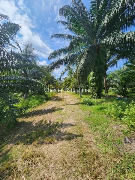 Tanah Pertanian untuk Dijual di Senggarang (Johor) - ZG Law - PropertyGuru.com.my