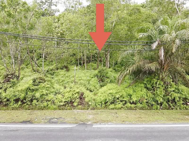 Tanah Kediaman untuk Dijual di Puncak Alam (Selangor) - NORFADILAH ZAINUDDIN - PropertyGuru.com.my