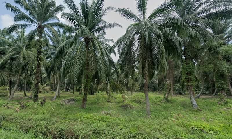 Other Property for Sale in Gelang Patah (Johor) - Lesley Siang - Garden - PropertyGuru.com.my