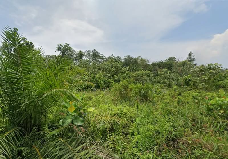 Other Property for Sale in Gelang Patah (Johor) - Lesley Siang - Exterior - PropertyGuru.com.my