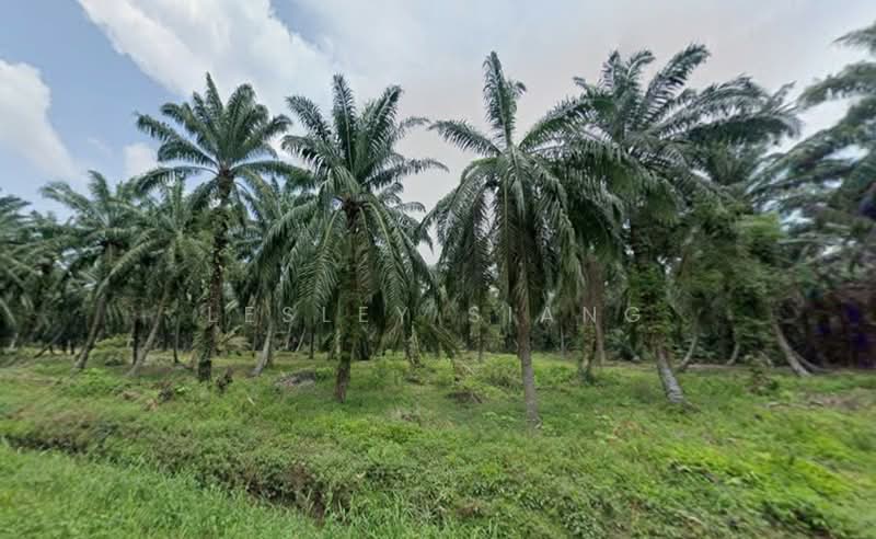 Other Property for Sale in Gelang Patah (Johor) - Lesley Siang - Garden - PropertyGuru.com.my