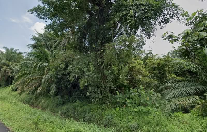 Other Property for Sale in Gelang Patah (Johor) - Lesley Siang - Exterior - PropertyGuru.com.my