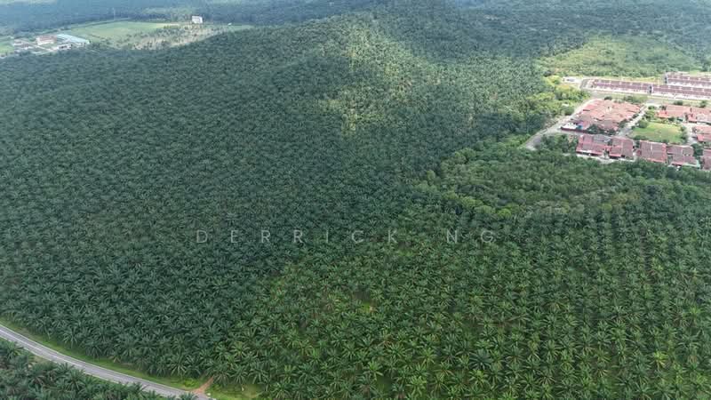 Agricultural Land for Sale in Taman Kelisa Ria (Sungai Petani) - Derrick Ng - Exterior - PropertyGuru.com.my