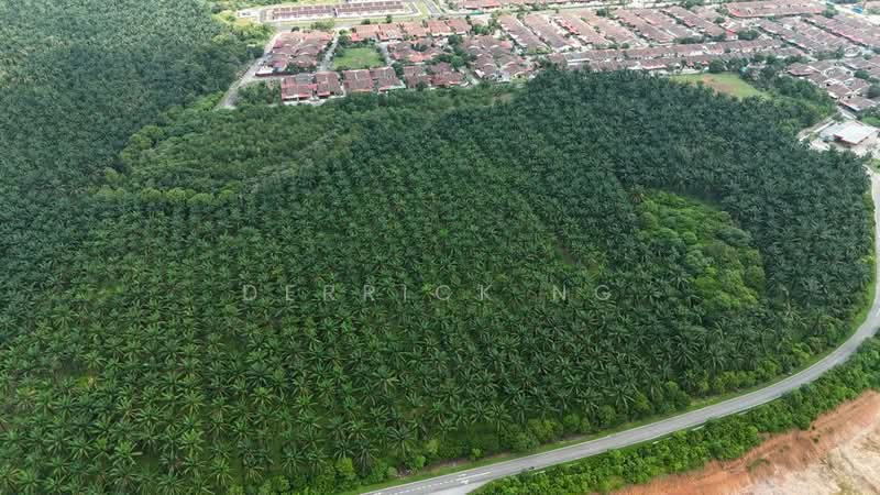 Agricultural Land for Sale in Taman Kelisa Ria (Sungai Petani) - Derrick Ng - Exterior - PropertyGuru.com.my