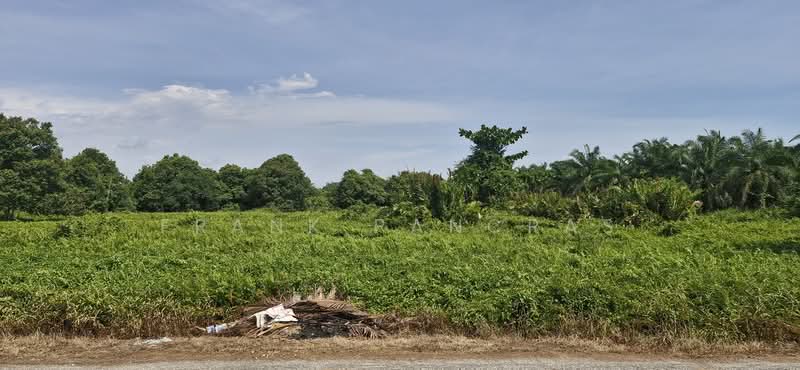 Tanah Pertanian untuk Dijual di Bukit Rotan (Kuala Selangor) - Frank Pancras - Exterior - PropertyGuru.com.my