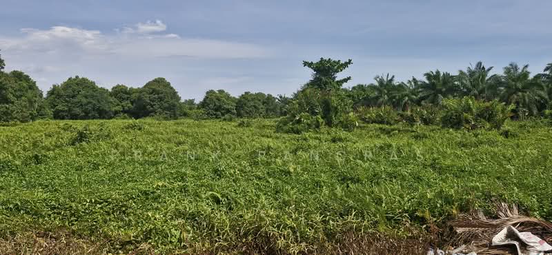 Tanah Pertanian untuk Dijual di Bukit Rotan (Kuala Selangor) - Frank Pancras - Exterior - PropertyGuru.com.my