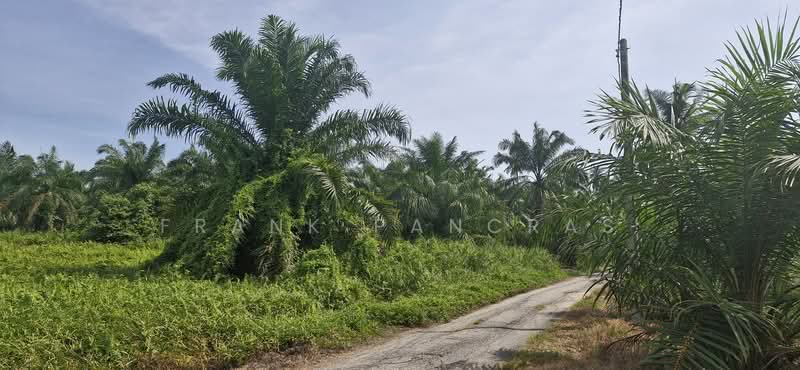 Tanah Pertanian untuk Dijual di Bukit Rotan (Kuala Selangor) - Frank Pancras - Exterior - PropertyGuru.com.my