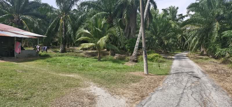 Tanah Pertanian untuk Dijual di Bukit Rotan (Kuala Selangor) - Frank Pancras - Exterior - PropertyGuru.com.my