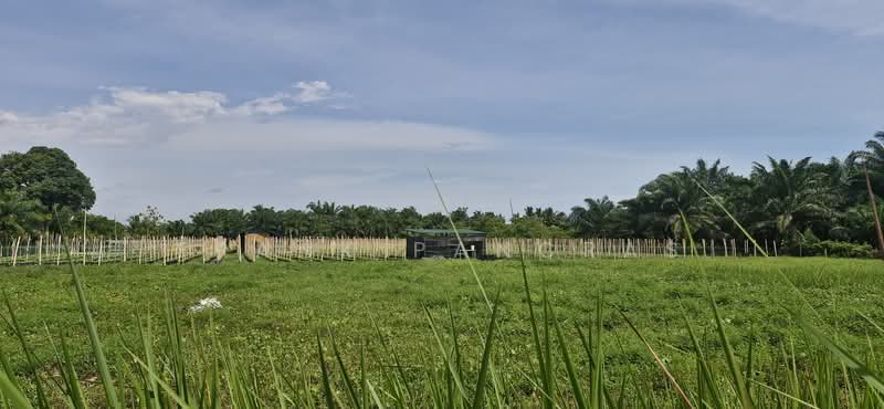 Tanah Pertanian untuk Dijual di Bukit Rotan (Kuala Selangor) - Frank Pancras - Exterior - PropertyGuru.com.my