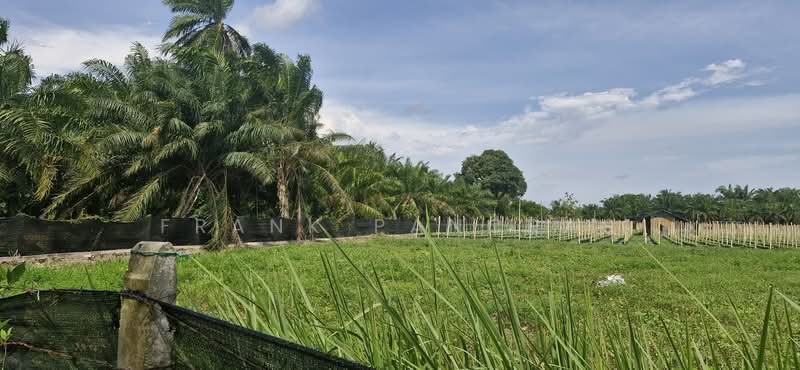 Tanah Pertanian untuk Dijual di Bukit Rotan (Kuala Selangor) - Frank Pancras - Exterior - PropertyGuru.com.my
