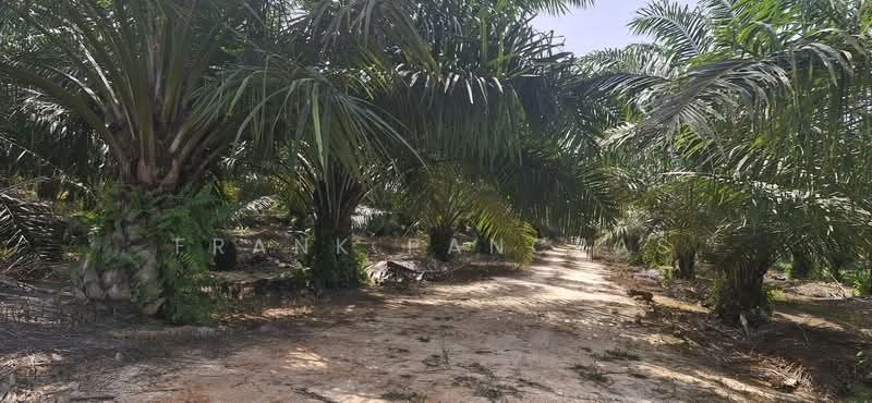 Tanah Pertanian untuk Dijual di Bukit Rotan (Kuala Selangor) - Frank Pancras - Exterior - PropertyGuru.com.my
