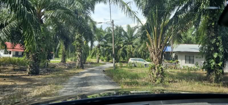 Tanah Pertanian untuk Dijual di Bukit Rotan (Kuala Selangor) - Frank Pancras - Exterior - PropertyGuru.com.my