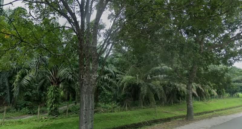 Agricultural Land for Sale in Telok Panglima Garang (Selangor) - Lucas Tam - Exterior - PropertyGuru.com.my