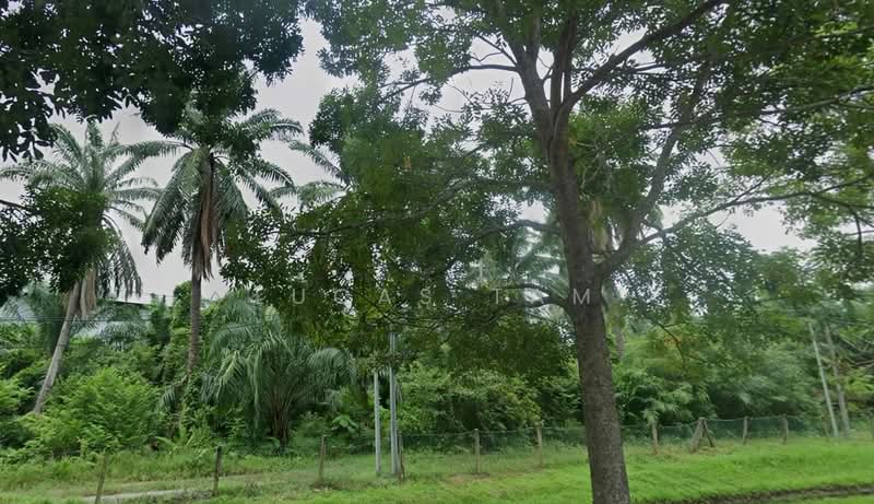Agricultural Land for Sale in Telok Panglima Garang (Selangor) - Lucas Tam - Exterior - PropertyGuru.com.my