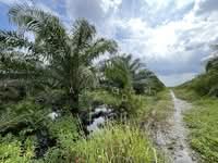 For Sale - 500 Acres Bandar Baharu Development Land