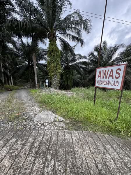 Tanah Pertanian untuk Dijual di Sandakan (Sabah) - Jennifer Chong - Exterior - PropertyGuru.com.my