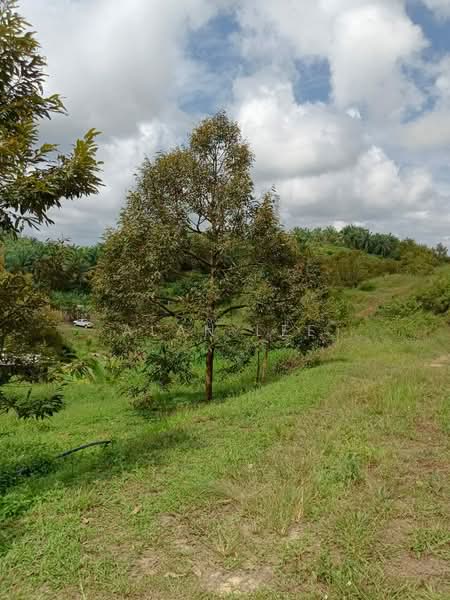 Tanah Pertanian untuk Dijual di Raub (Pahang) - Alan Lee - Exterior - PropertyGuru.com.my