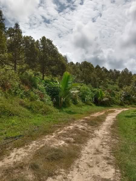 Tanah Pertanian untuk Dijual di Raub (Pahang) - Alan Lee - Exterior - PropertyGuru.com.my