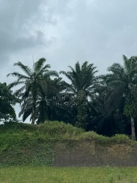 Tanah Pertanian untuk Dijual di Sandakan (Sabah) - Jennifer Chong - Exterior - PropertyGuru.com.my
