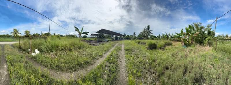 Tanah Pertanian untuk Dijual di Sandakan (Sabah) - Jennifer Chong - Exterior - PropertyGuru.com.my