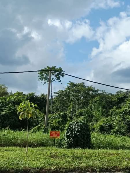 Tanah Pertanian untuk Dijual di Sandakan (Sabah) - Jennifer Chong - Exterior - PropertyGuru.com.my