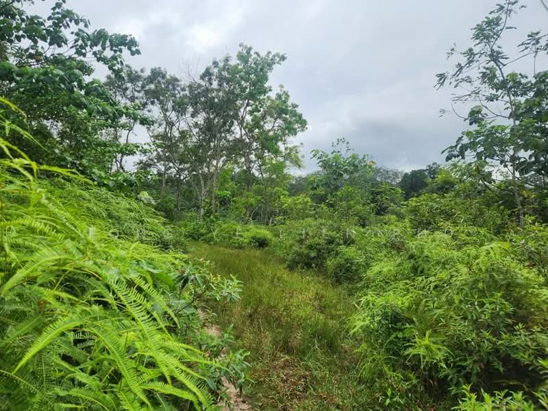 Tanah Pertanian untuk Disewa di Sungai Gumut (Selangor) - Wong Ye Lien PhD - Garden - PropertyGuru.com.my