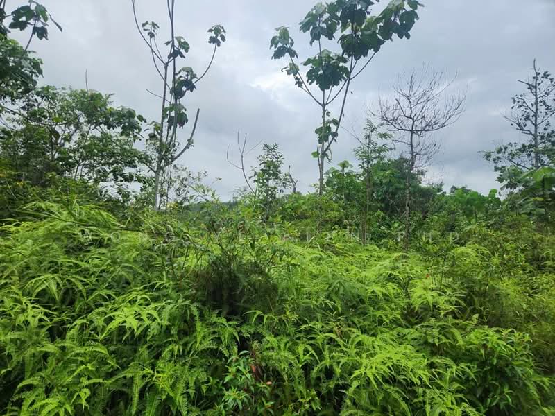 Tanah Pertanian untuk Disewa di Sungai Gumut (Selangor) - Wong Ye Lien PhD - Exterior - PropertyGuru.com.my