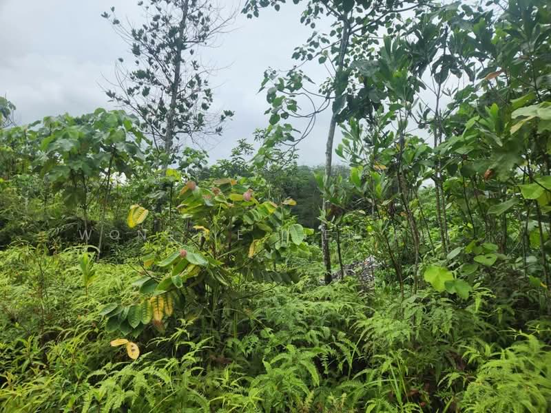 Tanah Pertanian untuk Disewa di Sungai Gumut (Selangor) - Wong Ye Lien PhD - Exterior - PropertyGuru.com.my