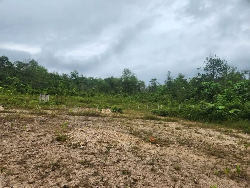 Tanah Pertanian untuk Disewa di Sungai Gumut (Selangor) - Wong Ye Lien PhD - Exterior - PropertyGuru.com.my