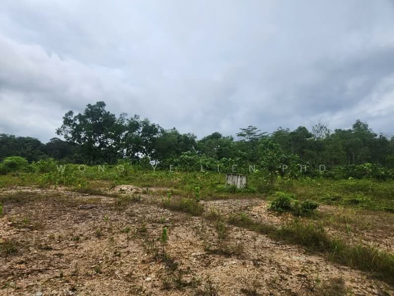 Tanah Pertanian untuk Disewa di Sungai Gumut (Selangor) - Wong Ye Lien PhD - Exterior - PropertyGuru.com.my