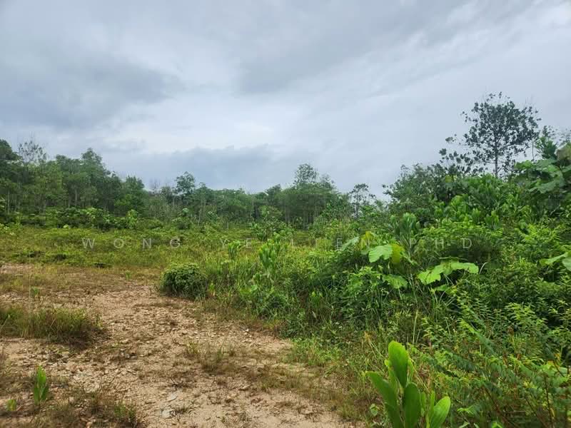 Tanah Pertanian untuk Disewa di Sungai Gumut (Selangor) - Wong Ye Lien PhD - Exterior - PropertyGuru.com.my