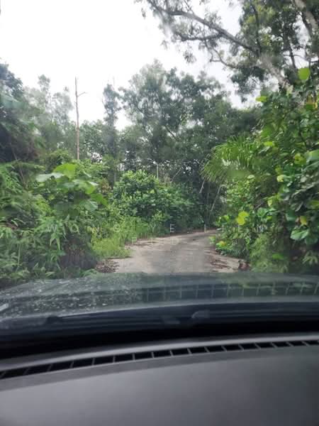 Tanah Pertanian untuk Disewa di Sungai Gumut (Selangor) - Wong Ye Lien PhD - Exterior - PropertyGuru.com.my
