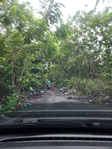 Tanah Pertanian untuk Disewa di Sungai Gumut (Selangor) - Wong Ye Lien PhD - PropertyGuru.com.my