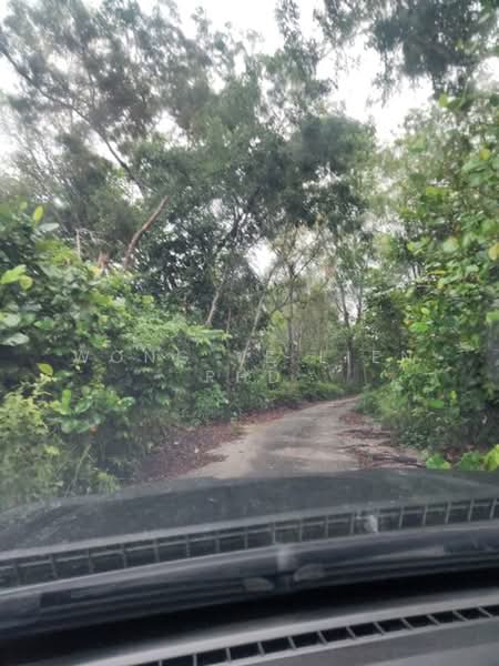 Tanah Pertanian untuk Disewa di Sungai Gumut (Selangor) - Wong Ye Lien PhD - Exterior - PropertyGuru.com.my