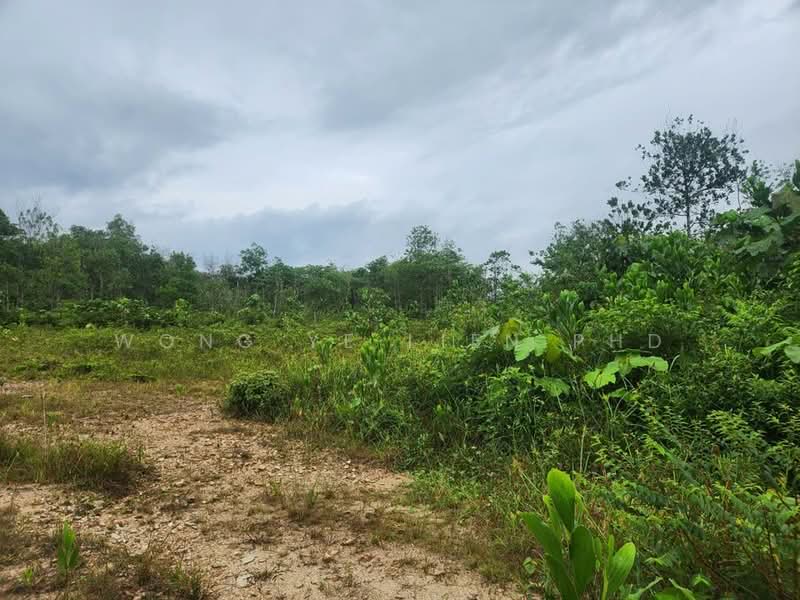 Tanah Pertanian untuk Disewa di Sungai Gumut (Selangor) - Wong Ye Lien PhD - Exterior - PropertyGuru.com.my